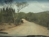 DSC00904.JPG