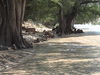 DSC00981.JPG